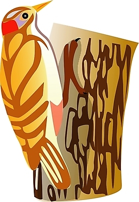 EPS 클립아트 나무 동물 척추동물 한마리 야생동물 일러스트 조류 사람없음 딱따구리 국내일러스트 식물 1 파일형식 벡터