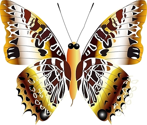 EPS 클립아트 동물 한마리 문양 나비 곤충 절지류 일러스트 사람없음 호랑나비 나비문양 국내일러스트 1 파일형식 벡터