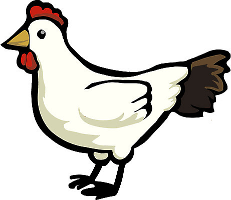 EPS 클립아트 동물 척추동물 한마리 일러스트 조류 사람없음 가축 닭 암탉 국내일러스트 1 암컷 파일형식 벡터