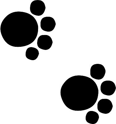 EPS 클립아트 동물 척추동물 육지동물 일러스트 포유류 사람없음 반려동물 고양이 개 발자국 발바닥 개발바닥 국내일러스트 자국 발 파일형식 벡터