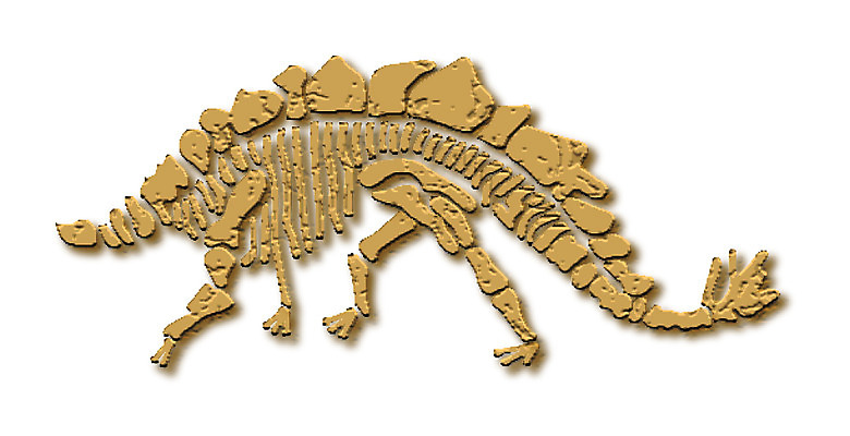 EPS 클립아트 동물 척추동물 일러스트 파충류 뼈 사람없음 공룡 화석 스테고사우루스 국내일러스트 파일형식 벡터