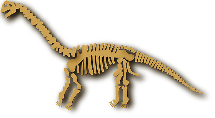 EPS 클립아트 동물 척추동물 일러스트 파충류 뼈 사람없음 공룡 화석 브라키오사우루스 국내일러스트 브론토사우루스 파일형식 벡터