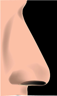 EPS 클립아트 얼굴 신체 일러스트 사람 신체부위 코 노이즈 국내일러스트 파일형식 벡터