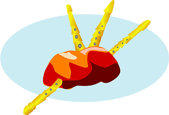 EPS 클립아트 문화 예술 악기 음악 연주 일러스트 관악기 사람없음 서양악기 백파이프 국내일러스트 문화예술 파일형식 벡터