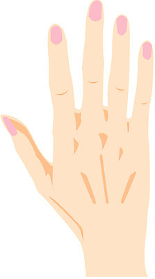 EPS 클립아트 손 신체 일러스트 손가락 사람 신체부위 매니큐어 손등 국내일러스트 화장품 파일형식 벡터