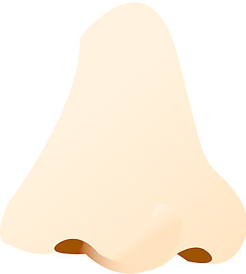 EPS 클립아트 얼굴 신체 일러스트 사람 신체부위 코 노이즈 국내일러스트 파일형식 벡터