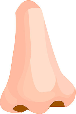 EPS 클립아트 얼굴 신체 일러스트 사람 신체부위 코 노이즈 국내일러스트 파일형식 벡터