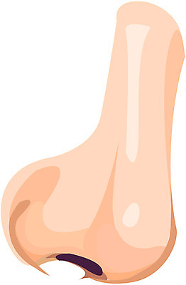 EPS 클립아트 얼굴 신체 일러스트 사람 신체부위 코 노이즈 국내일러스트 파일형식 벡터