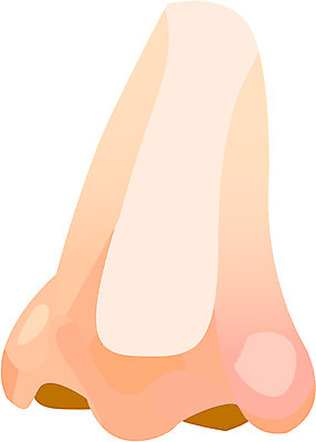 EPS 클립아트 얼굴 신체 일러스트 사람 신체부위 코 노이즈 국내일러스트 파일형식 벡터