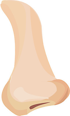 EPS 클립아트 얼굴 신체 일러스트 사람 신체부위 코 노이즈 국내일러스트 파일형식 벡터