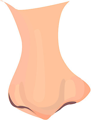 EPS 클립아트 얼굴 신체 일러스트 사람 신체부위 코 노이즈 국내일러스트 파일형식 벡터