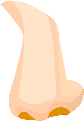 EPS 클립아트 얼굴 신체 일러스트 사람 신체부위 코 노이즈 국내일러스트 파일형식 벡터