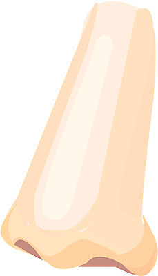 EPS 클립아트 얼굴 신체 일러스트 사람 신체부위 코 노이즈 국내일러스트 파일형식 벡터