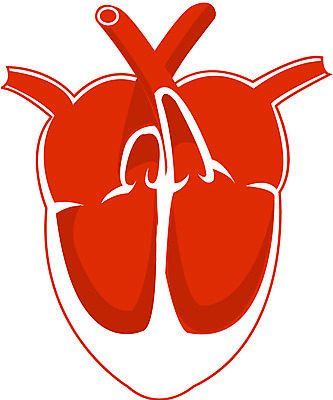 EPS 신체 일러스트 사람 사람없음 하트 심장 내장 장기 순환기관 국내일러스트 모양 장기_의학 파일형식 벡터