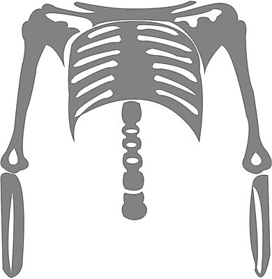 EPS 클립아트 신체 일러스트 뼈 사람 상반신 사람없음 장기 근골격기관 갈비뼈 국내일러스트 장기_의학 파일형식 벡터