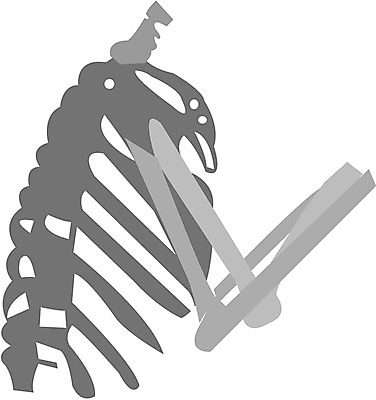 EPS 클립아트 신체 일러스트 뼈 사람 상반신 사람없음 장기 근골격기관 갈비뼈 국내일러스트 장기_의학 파일형식 벡터