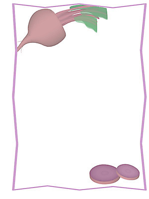 EPS 클립아트 식물 선 채소 일러스트 사각프레임 프레임 틀 사람없음 무 테두리 고구마 적환무 국내일러스트 뿌리채소 사각형 파일형식 벡터