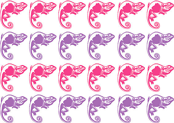 EPS 클립아트 문양 무늬 패턴 일러스트 사람없음 이구아나 카멜레온 국내일러스트 파충류 파일형식 벡터