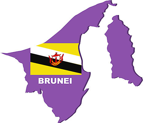 EPS 클립아트 나라 아시아 외국문화 지도 일러스트 사람없음 국기 영토 국토 브루나이 국내일러스트 문화 파일형식 벡터