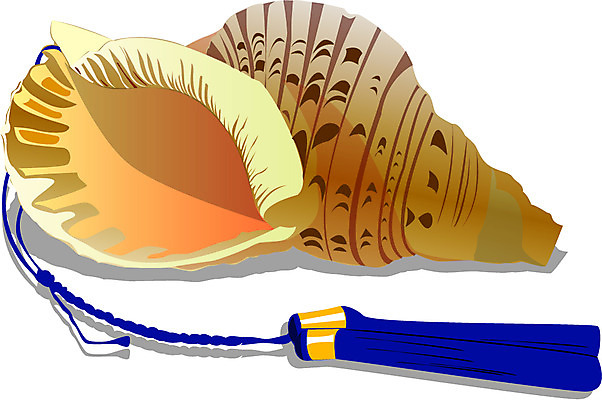 EPS 한국문화 한국전통 문화 예술 악기 음악 일러스트 국악기 관악기 사람없음 소라 오브젝트 고둥 뿔피리 국내일러스트 동양문화 전통 문화예술 어패류 한국 국악 파일형식 벡터