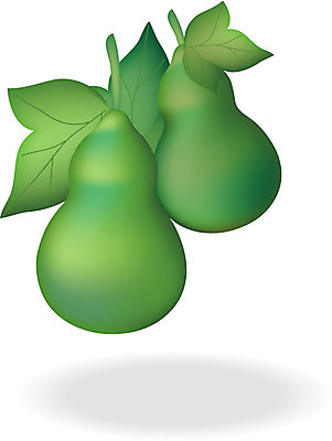 EPS 클립아트 식물 전통 열매 음식 컬러 채소 일러스트 사람없음 초록색 농작물 박 조롱박 국내일러스트 농업 파일형식 벡터