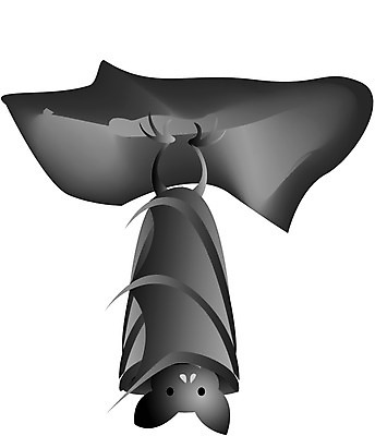 EPS 클립아트 동물 척추동물 캐릭터 육지동물 기념일 일러스트 포유류 이벤트 사람없음 할로윈 박쥐 해외명절 흡혈귀 흡혈박쥐 일러캐릭터 명절 파일형식 벡터