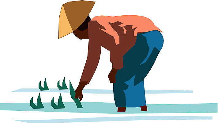 EPS 클립아트 외국인 남자 아시아 외국문화 농업 일러스트 한명 사람 인종 20대 성인 농사 원주민 농부 베트남 베트남문화 소만 남자만 남자한명만 성인남자만 청년만 청년남자만 청년남자한명만 성인한명만 성인남자한명만 성인만 국내일러스트 직업 1 동양문화 나라 산업 문화 청년 동남아시아 아프리카인 파일형식 벡터