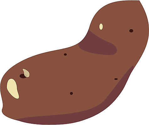 EPS 음식 밭 채소 일러스트 디저트 사람없음 농작물 고구마 겨울간식 찐고구마 국내일러스트 농업 뿌리채소 찜 파일형식 벡터