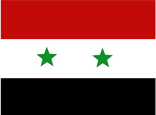 EPS 클립아트 아시아 외국문화 일러스트 중동 사람없음 국기 시리아 국내일러스트 나라 문화 파일형식 벡터