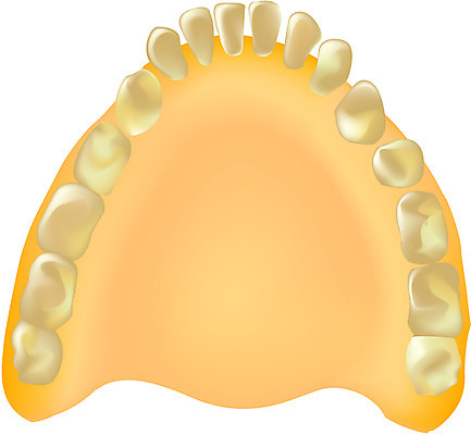 EPS 클립아트 신체 일러스트 해부 의학 뼈 사람 사람없음 치료 치아 장기 구강 근골격기관 국내일러스트 입 소화기관 장기_의학 파일형식 벡터