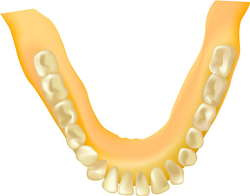 EPS 클립아트 신체 일러스트 해부 의학 뼈 사람 사람없음 치료 치아 장기 구강 근골격기관 국내일러스트 입 소화기관 장기_의학 파일형식 벡터