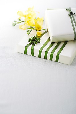 포토 JPG 스튜디오촬영 식물 꽃 리본 컬러 백그라운드 포장 실내 선물포장 선물 사람없음 아웃포커스 장식 선물상자 상자 노란색 오브젝트 프리지어 국내포토 촬영기법 내부 파일형식