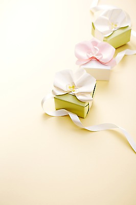 포토 JPG 스튜디오촬영 리본 백그라운드 꽃무늬 포장 실내 선물포장 선물 사람없음 아웃포커스 장식 선물상자 상자 끈 오브젝트 국내포토 꽃 무늬 촬영기법 내부 파일형식