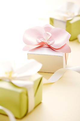 포토 JPG 스튜디오촬영 리본 백그라운드 꽃무늬 포장 실내 선물포장 선물 근접촬영 사람없음 아웃포커스 장식 선물상자 상자 끈 오브젝트 국내포토 꽃 뷰포인트 무늬 촬영기법 내부 파일형식