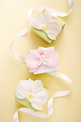 포토 JPG 스튜디오촬영 리본 백그라운드 꽃무늬 포장 실내 선물포장 선물 사람없음 장식 선물상자 상자 끈 오브젝트 국내포토 꽃 무늬 내부 파일형식