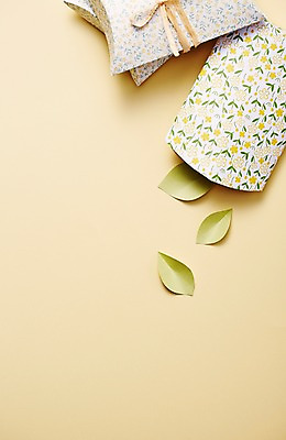 포토 JPG 스튜디오촬영 식물 리본 백그라운드 잎 포장 나뭇잎 실내 선물포장 선물 사람없음 장식 선물상자 상자 오브젝트 국내포토 내부 파일형식