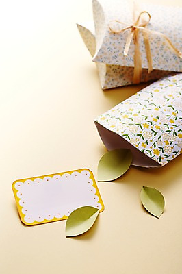 포토 JPG 스튜디오촬영 식물 리본 종이 백그라운드 잎 포장 나뭇잎 안내 프레임 실내 선물포장 선물 사람없음 아웃포커스 장식 선물상자 상자 알림 오브젝트 국내포토 촬영기법 내부 파일형식