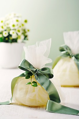 포토 JPG 스튜디오촬영 식물 꽃 리본 화분 백그라운드 포장 실내 선물포장 선물 근접촬영 사람없음 아웃포커스 장식 끈 오브젝트 국내포토 뷰포인트 촬영기법 내부 파일형식