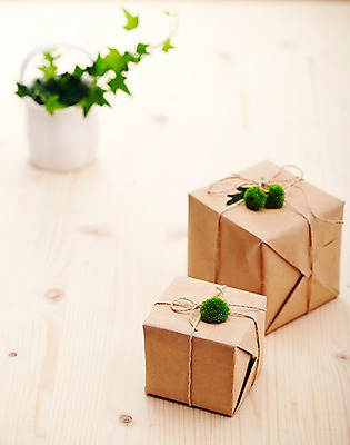 포토 JPG 주간 식물 꽃 리본 화분 백그라운드 포장 실내 선물포장 선물 근접촬영 사람없음 아웃포커스 장식 선물상자 상자 끈 오브젝트 국내포토 자연요소 뷰포인트 촬영기법 내부 파일형식