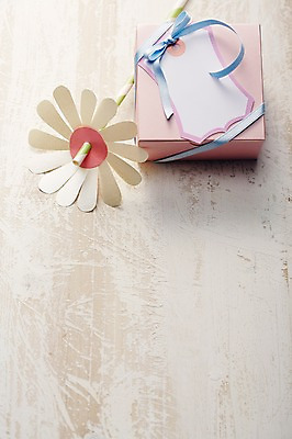 포토 JPG 주간 꽃 리본 백그라운드 포장 안내 프레임 실내 선물포장 선물 사람없음 장식 선물상자 상자 장난감 메모지 끈 알림 오브젝트 국내포토 자연요소 식물 내부 사무용품 파일형식