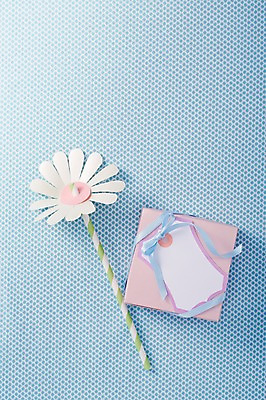 포토 JPG 스튜디오촬영 꽃 리본 백그라운드 포장 프레임 실내 선물포장 선물 사람없음 장식 선물상자 상자 장난감 메모지 오브젝트 국내포토 식물 내부 사무용품 파일형식