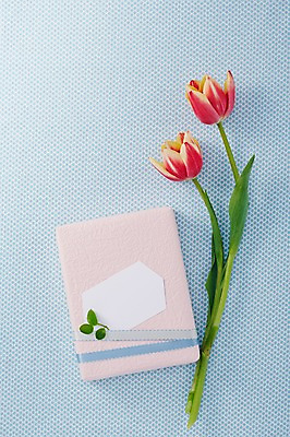 포토 JPG 스튜디오촬영 식물 꽃 리본 종이 컬러 백그라운드 포장 프레임 실내 선물포장 선물 사람없음 장식 빨간색 선물상자 상자 튤립 메모지 오브젝트 국내포토 내부 사무용품 파일형식