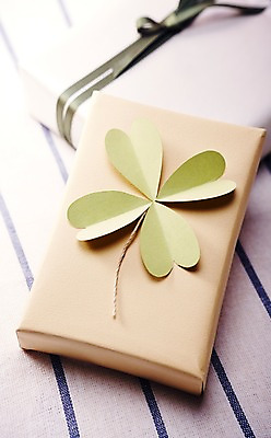 포토 JPG 주간 리본 백그라운드 포장 나뭇잎 실내 선물포장 선물 근접촬영 사람없음 아웃포커스 장식 선물상자 상자 오브젝트 나뭇잎모양 국내포토 자연요소 모양 뷰포인트 잎 촬영기법 내부 파일형식