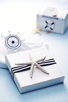 포토 JPG 주간 리본 백그라운드 포장 열쇠 조개 불가사리 실내 선물포장 선물 근접촬영 사람없음 아웃포커스 장식 선물상자 상자 오브젝트 키_배핸들 튜브 국내포토 자연요소 뷰포인트 어패류 극피동물 촬영기법 내부 핸들 파일형식