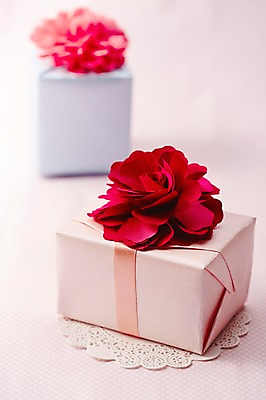 포토 JPG 스튜디오촬영 식물 꽃 리본 백그라운드 포장 실내 선물포장 선물 근접촬영 사람없음 아웃포커스 장식 선물상자 상자 장미 오브젝트 국내포토 뷰포인트 촬영기법 내부 파일형식