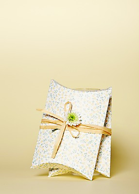 포토 JPG 스튜디오촬영 식물 꽃 리본 백그라운드 포장 실내 선물포장 선물 사람없음 장식 선물상자 상자 오브젝트 국내포토 내부 파일형식