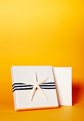 포토 JPG 스튜디오촬영 리본 백그라운드 포장 불가사리 실내 선물포장 선물 사람없음 장식 선물상자 상자 오브젝트 국내포토 극피동물 내부 파일형식