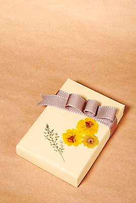 포토 JPG 스튜디오촬영 식물 꽃 리본 백그라운드 포장 실내 선물포장 선물 사람없음 장식 선물상자 상자 오브젝트 국내포토 내부 파일형식