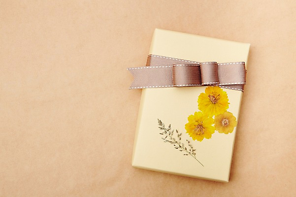 포토 JPG 스튜디오촬영 식물 꽃 리본 백그라운드 포장 실내 선물포장 선물 사람없음 장식 선물상자 상자 오브젝트 국내포토 내부 파일형식