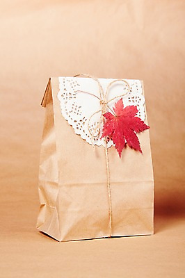 포토 JPG 스튜디오촬영 식물 리본 백그라운드 단풍 잎 포장 나뭇잎 실내 선물포장 선물 사람없음 장식 선물상자 종이봉투 오브젝트 국내포토 봉투 내부 상자 파일형식